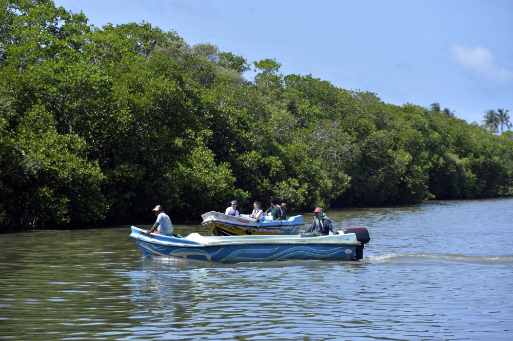 People boat near the mangroves in the Negombo Lagoon in Negombo, Sri Lanka. (Photo by Gayan Sameera/Xinhua)