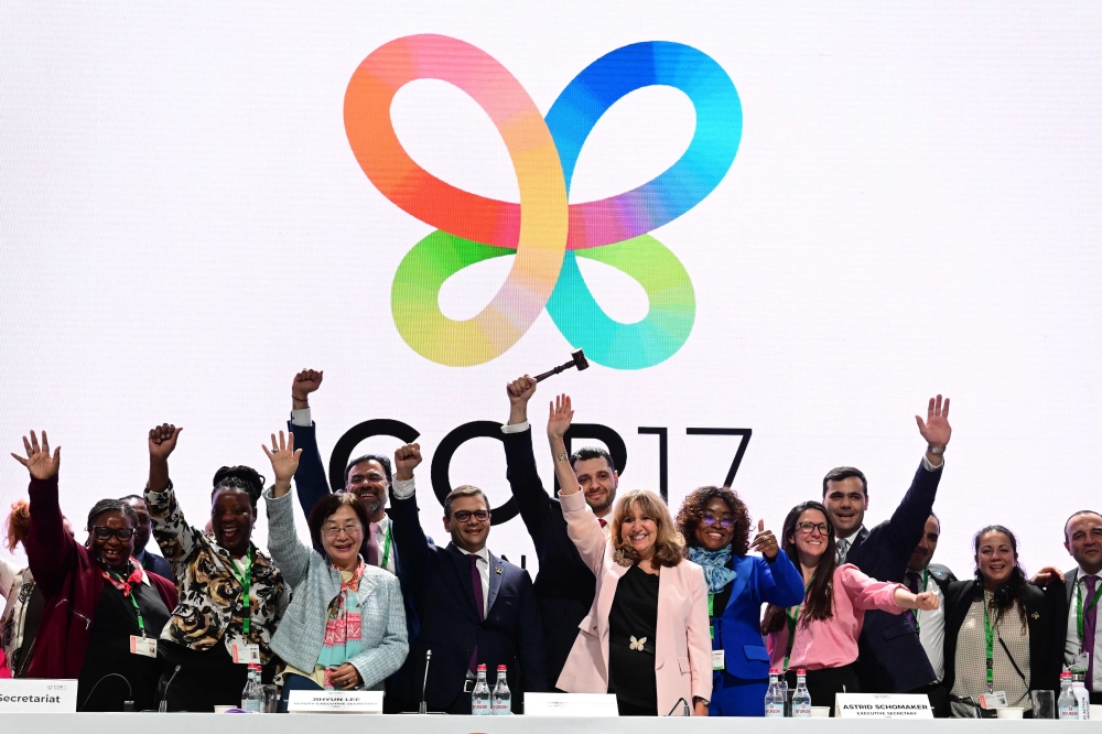 Executive Secretary of the United Nations Convention on Biological Diversity Astrid Schomaker (C-R), Armenia's Minister of Environment and COP17 President Hambardzum Matevosyan (C-L), Deputy Executive Secretary of the United Nations Convention on Biological Diversity Jihyun Lee (3rd L), and other members of the secretariat react during the closing session of the 17th meeting of the Conference of the Parties (COP17) in Yerevan on October 31, 2026. (Photo by Karen Minasyan / AFP)