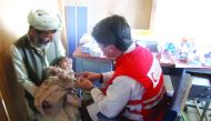 A child receives care at a health unit covered by a QRCS programme in Afghanistan. 