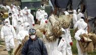 Soldiers wearing protective gear prepare to cull chickens at a farm infected with bird flu in Gimje, 215 km (134 miles) south of Seoul, April 17, 2008. REUTERS/Choi Young-soo/Yonhap