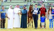 Representatives of Theeb Al Shaqab, podium winner of Class 2 Colts Foals at the Qatar National Arabian Horse Show, receiving the trophy from officials.