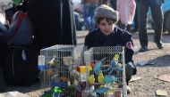 A Syrian boy, who was evacuated from the last rebel-held pockets of Syria's northen city of Aleppo, sits next to bird cages upon arriving on December 20, 2016 in the opposition-controlled Khan al-Assal region, west of the embattled city.  AFP / Baraa Al-H