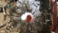 A boy is pictured through a bullet hole in a window inside a building that was the site of clashes between Jordanian police and Islamist militant gunmen in the village of Garifla, in Karak, Jordan, December 21, 2016. REUTERS/Muhammad Hamed
