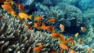 Representational file photo.