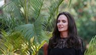 Actress Angelina Jolie arrives for a news conference at a hotel in Siem Reap province, Cambodia, February 18, 2017. Reuters/Samrang Pring