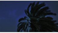 Peninsula