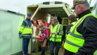 Qatar Airways Cargo staff taking a horse to the aircraft.