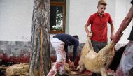 Kosovo Albanians remove slaughtered sheep in the village of Babaj Bokes, southwest Kosovo close to the Albanian border on May 6, 2017, where thousands of Albanians flooded the village to celebrate a partially religious and partially pagan feast of Saint G