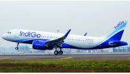 IndiGo recently launched daily direct flights from Delhi and Mumbai to and from Doha.