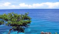 Bohol Sea