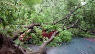 A view shows a tree, which was uprooted by a heavy storm and fell down on a car, in Moscow, Russia, May 29, 2017. REUTERS/Andrey Kuzmin.