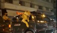 Video Still