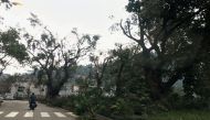 Fallen trees and debris are seen on a road following Typhoon Hato in Macau, China, August 24, 2017 in this picture obtained from social media. / Reuters.