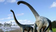 Savannasaurus elliottorum. Image credit: Travis R. Tischler.