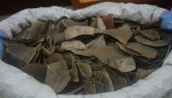 Pangolins are under state protection in China, where some believe the animal’s scales have medicinal qualities, despite no scientific evidence to support the claim © ROYAL MALAYSIAN CUSTOMS/AFP / Handout.