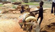 Boys work with their precious donkey at an excavation site in the far northern state of Kano, digging sand for market. AFP
