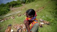 Afile photo of a Hindu villager reacts while identifying the bodies of relatives found by government forces, that authorities suspected were killed by insurgents last month, in a mass grave near Maungdaw in the north of Myanmar's Rakhine state, September 