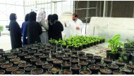 A session during an environmental drive by the Quranic Botanic Garden (QBG). 