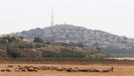 A herd of sheep graze near the Lebanese-Israeli border in Kfar Kila village, southern Lebanon August 24, 2015. Reuters/Aziz Taher