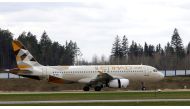 An Etihad Airways Airbus A320-200 plane is seen at the National Airport Minsk, Belarus April 19, 2018. REUTERS/Vasily Fedosenko/File Photo