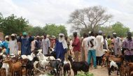 Men buying and selling goats at the market in Dargue village in Maradi Region in south central Niger on Aug 16, 2018. Thomson Reuters Foundation/Thin Lei Win 