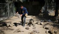 FILE PHOTO: Palestinian Mohammad Oweida, a zoo owner, shows stuffed animals that died during the 2014 war in Khan Younis in the southern Gaza Strip, March 7, 2016. Reuters/Ibraheem Abu Mustafa