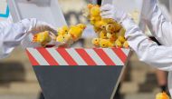 Activists of the animal protection organisation Peta throw toy chicks into a fake shredding machine in a symbolic action to protest against the killing of male chicks on June 13, 2019 in front of the Federal Administrative Court in Leipzig, eastern German