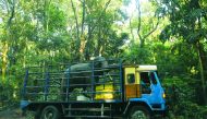 A Sri Lankan elephant is transported on a truck in Dambulla on July 16, 2019. AFP / Ishara S Kodikara