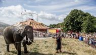 Firefighters spray water to cool an elephant in high temperatures at the Arene circus in Gilleleje (AFP Photo/Mads Claus Rasmussen) 
