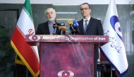 The head of the organization Ali Akbar Salehi (L) and Acting Director General of the International Atomic Energy Agency (IAEA) Cornel Feruta giving a joint press conference in Tehran.