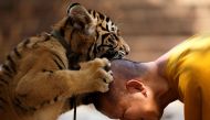 FILE PHOTO: A Buddhist monk plays with a tiger at the Wat Pa Luang Ta Bua, otherwise known as Tiger Temple, in Kanchanaburi province February 12, 2015. Reuters/Athit Perawongmetha/File Photo