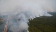 FILE PHOTO: Smoke covers trees during a forest fire next to a palm plantation in Palangka Raya, Central Kalimantan province, Indonesia, September 14, 2019. REUTERS/Willy Kurniawan/File Photo