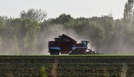 A tractor harvests suger beet on September 20, 2019 in Vendin les Béthune, North of France, as the sugar beet harvesting season enters full swing. AFP / DENIS CHARLET