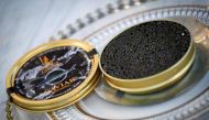 Sturgeons producing the most expensive caviar can carry as much as two million yuan worth of eggs.
