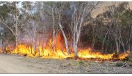Trees are engulfed in flames as a bushfire spreads in Adaminaby, New South Wales, Australia, January 9, 2020, in this still image from a video obtained from Ingleside Rural Fire Service. Ingleside Rural Fire Service/via REUTERS 
