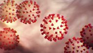 This handout illustration image obtained February 27, 2020 courtesy of the Centers for Disease Control and Prevention and created at the Centers for Disease Control and Prevention (CDC) shows the coronavirus, COVID-19. AFP PHOTO /CENTERS FOR DISEASE CONTR