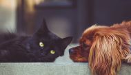 file photo