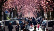 Despite of the lock-down due to the spread of the coronavirus disease (COVID-19), people gather in Heerstrasse also known as the Cherry Blossom Avenue, a magnet for tourists from all over the world during blossom-time, in Bonn, Germany April 5, 2020. REUT