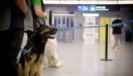 The coronavirus sniffer dog named Valo sits at the Helsinki airport in Vantaa, Finland, to detect the Covid-19 from the arriving passengers, on September 22, 2020. Finland OUT / AFP / Lehtikuva / Antti Aimo-Koivisto
