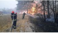 Firefighters work at the site of a forest fire in Luhansk region, Ukraine in this handout picture released October 1, 2020. State Emergency Service Of Ukraine/Handout via REUTERS