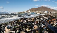 Dead sea life is seen washed up on the shore due to unexplained water pollution in Kamchatka region, Russia October 8, 2020. Dmitry Sharomov/Greenpeace Russia/Handout via REUTERS