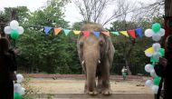 Kaavan, an elephant waiting to be transported to a sanctuary in Cambodia, is seen during a farewell ceremony at the Marghazar Zoo in Islamabad, Pakistan November 23, 2020. Reuters/Saiyna Bashir