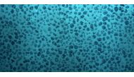 Rocks called 'polymetallic nodules' are seen on the seabed in the Clarion Clipperton Zone of the Pacific Ocean, April 2021. GSR/Handout via REUTERS
