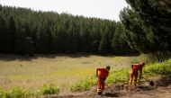 Forest Guard workers dig the ground as they make preparations for possible wildfires as temperatures are expected to continue to peak at over 40 degrees Celsius during a heatwave across southern Italy, in Monte Vetore on Mount Etna, Italy, August 11, 2021