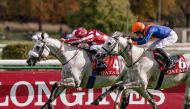 Tayf (left) - winner of Qatar Arabian World Cup 2020. 
