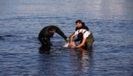 Veterinarian Nikitas Vogiatzis, helped by divers, examines a trapped beaked whale off the shore of the suburb of Alimos, in Athens, Greece, January 28, 2022. REUTERS/Costas Baltas