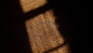 Grain. File photo for representational purposes only.