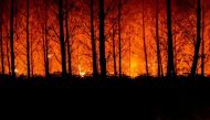 A view shows trees burning amid a fire that broke out near Landiras, as wildfires continue to spread in the Gironde region of southwestern France, in this handout picture taken July 16, 2022 and obtained from the fire brigade of the Gironde region (SDIS 33) on July 17, 2022. SDIS 33/Handout via REUTERS
