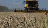 :A combine harvests wheat in a field, as Russia's attack on Ukraine continues, in Kharkiv Region, Ukraine July 30, 2022. REUTERS/Vyacheslav Madiyevskyy