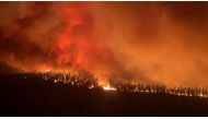 Flames engulf trees during a fire in Hostens, as wildfires continue to spread in the Gironde region of southwestern France, in this screen grab taken from a handout video August 9, 2022